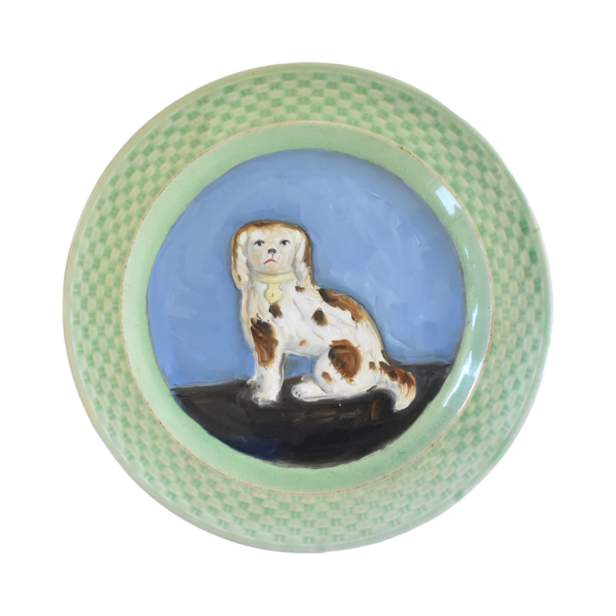 Burton the Brown & White Staffordshire Water Spaniel Dog Portrait