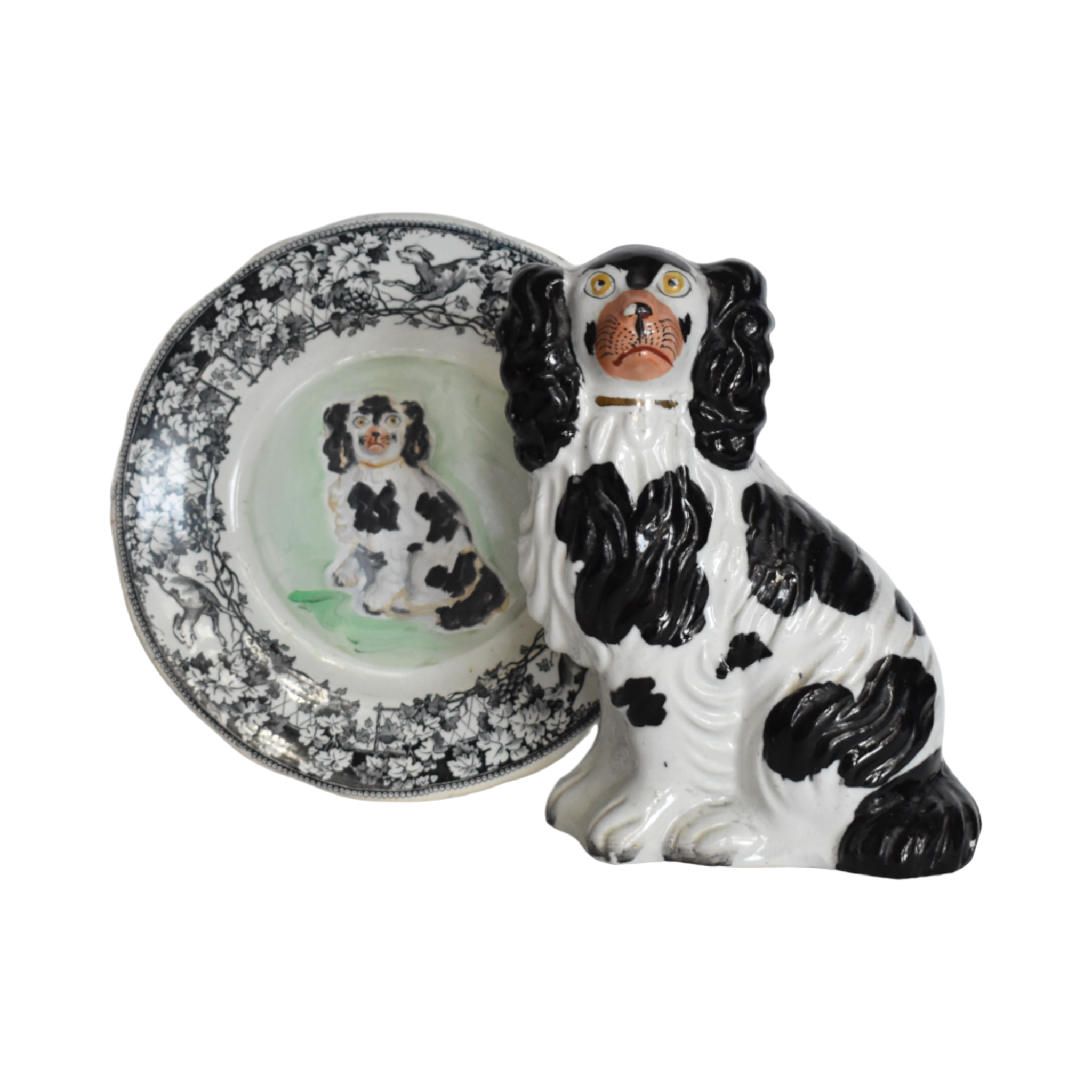 Chester the Black & White Staffordshire Spaniel Portrait