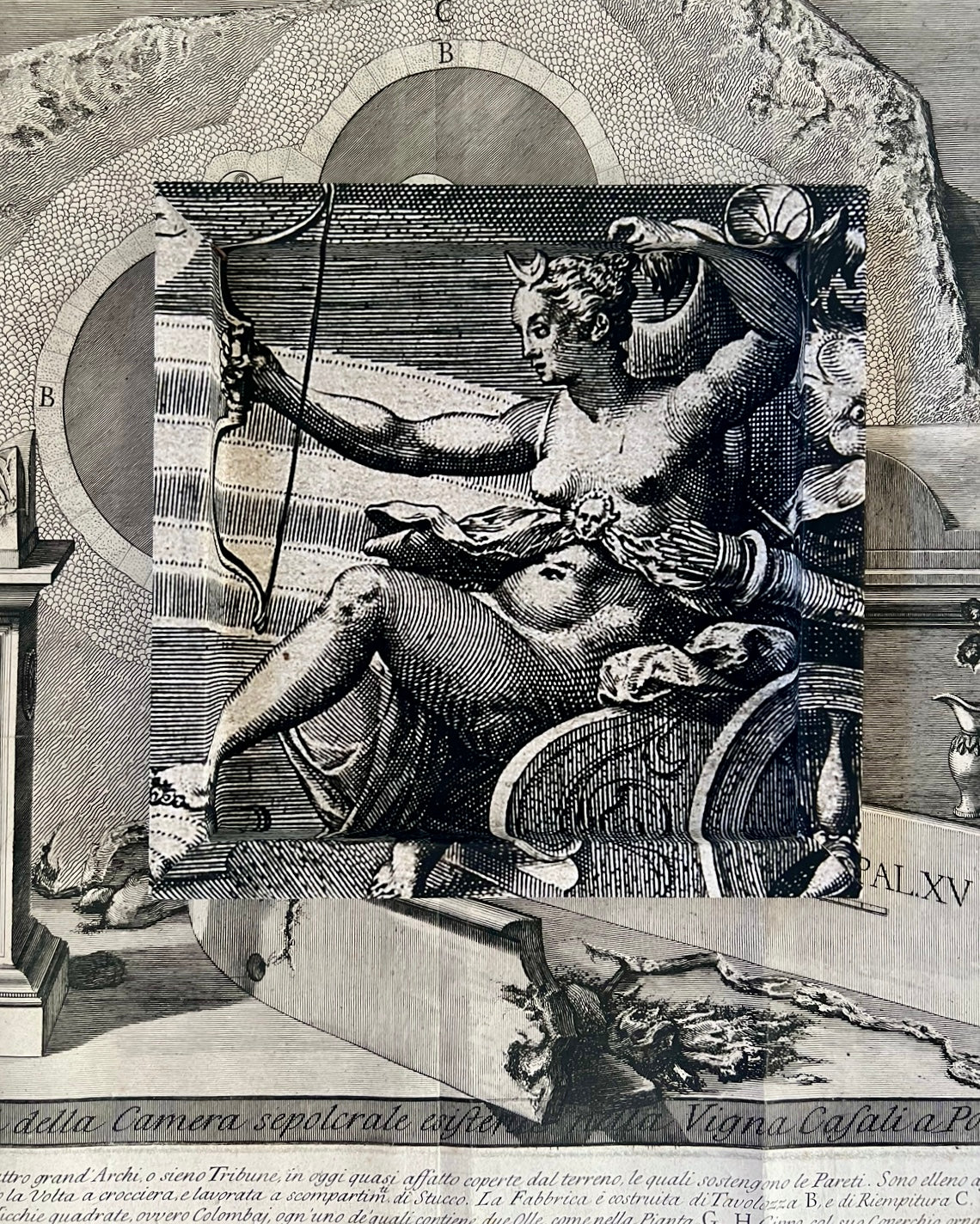 Frame No. 16 - Artemis Dark (8" for plates 4.25"-6")