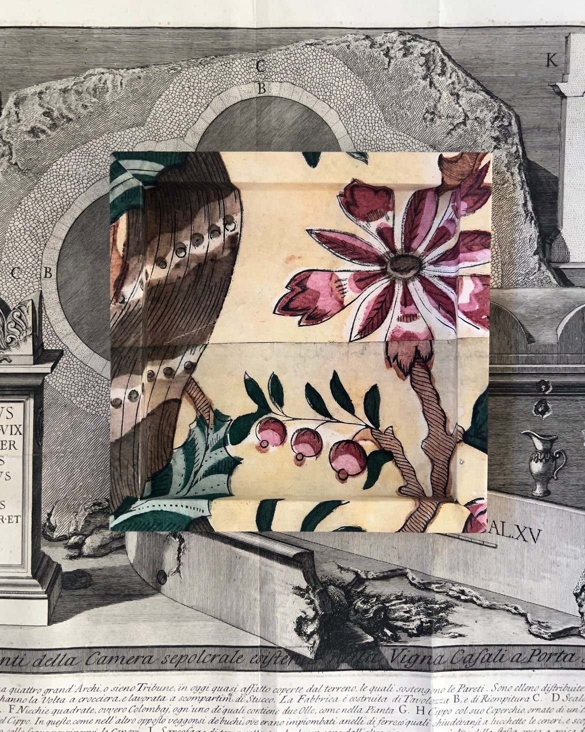 Frame No. 15 - Dominoterie Vigne (8" for plates 4.25"-6")