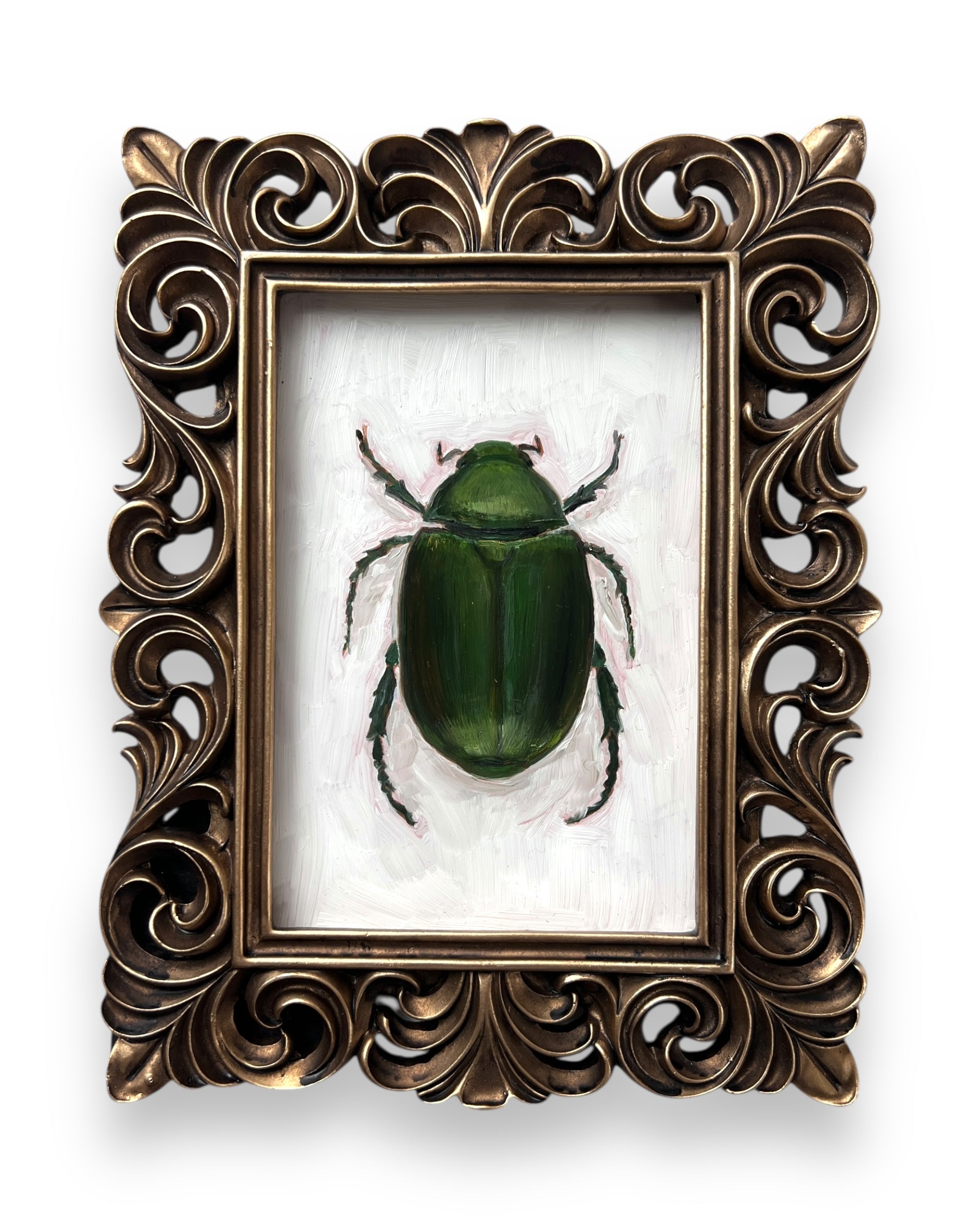 No. 3045 Anomala Albopilosa Oil Painting