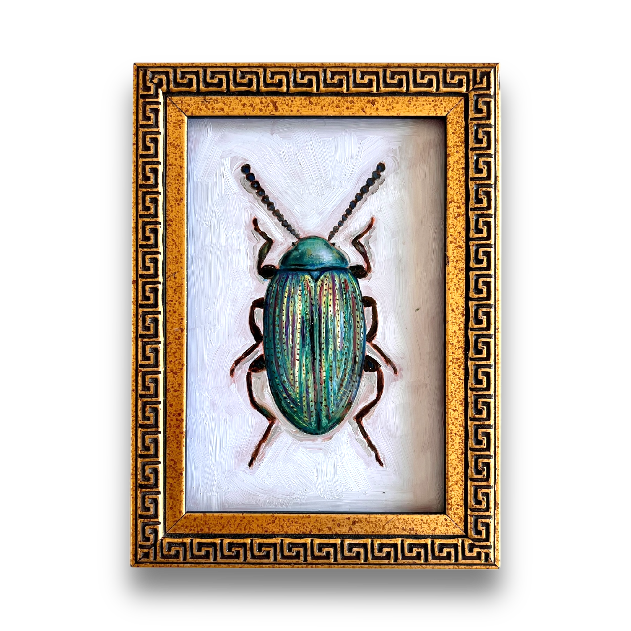 No. 3044 Crepidodera Lamina Oil Painting