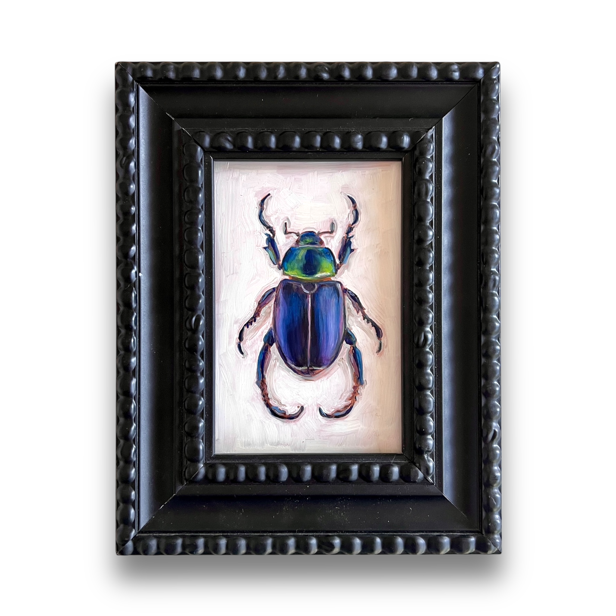 No. 3046 Pelidnota Burmeisteri Oil Painting