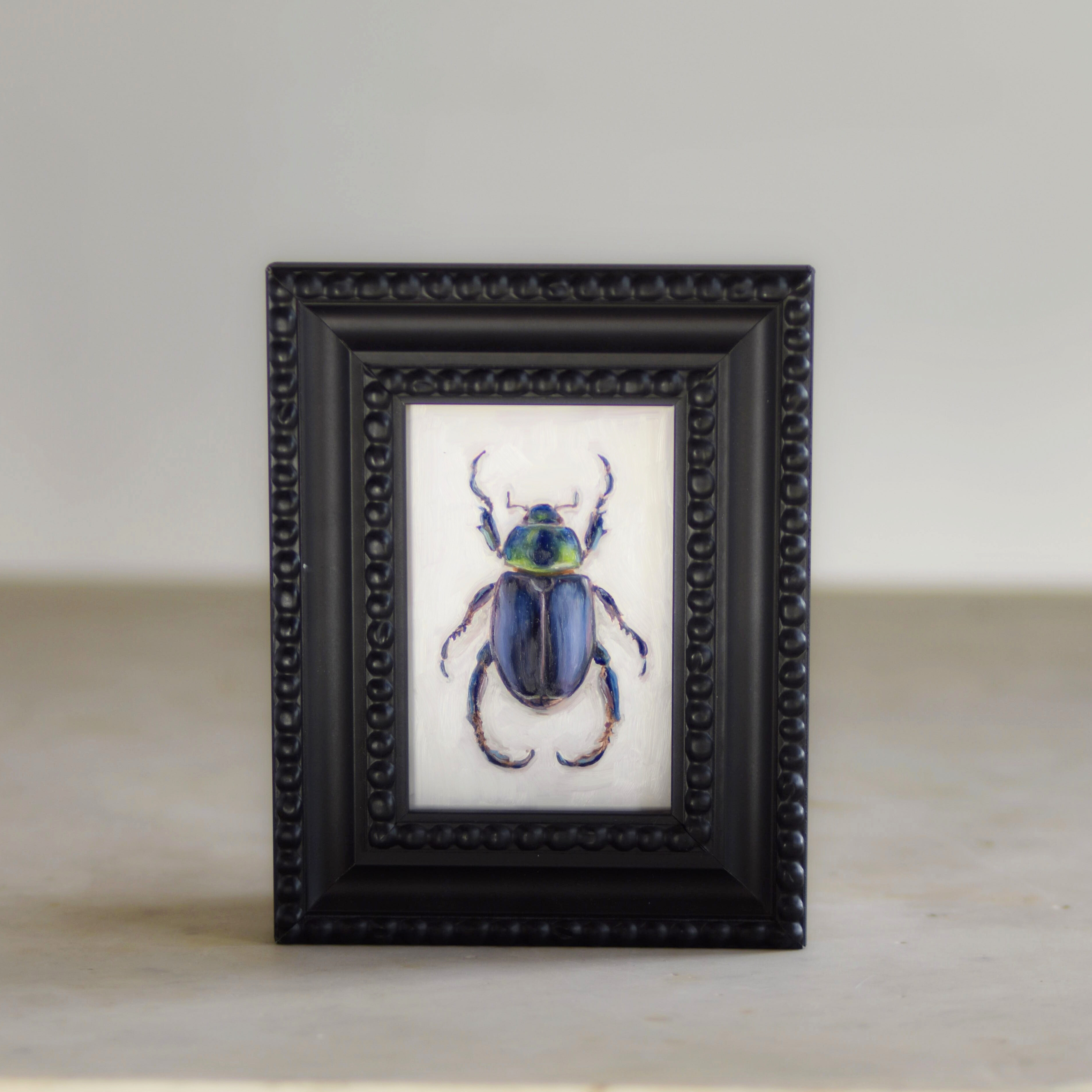 No. 3046 Pelidnota Burmeisteri Oil Painting