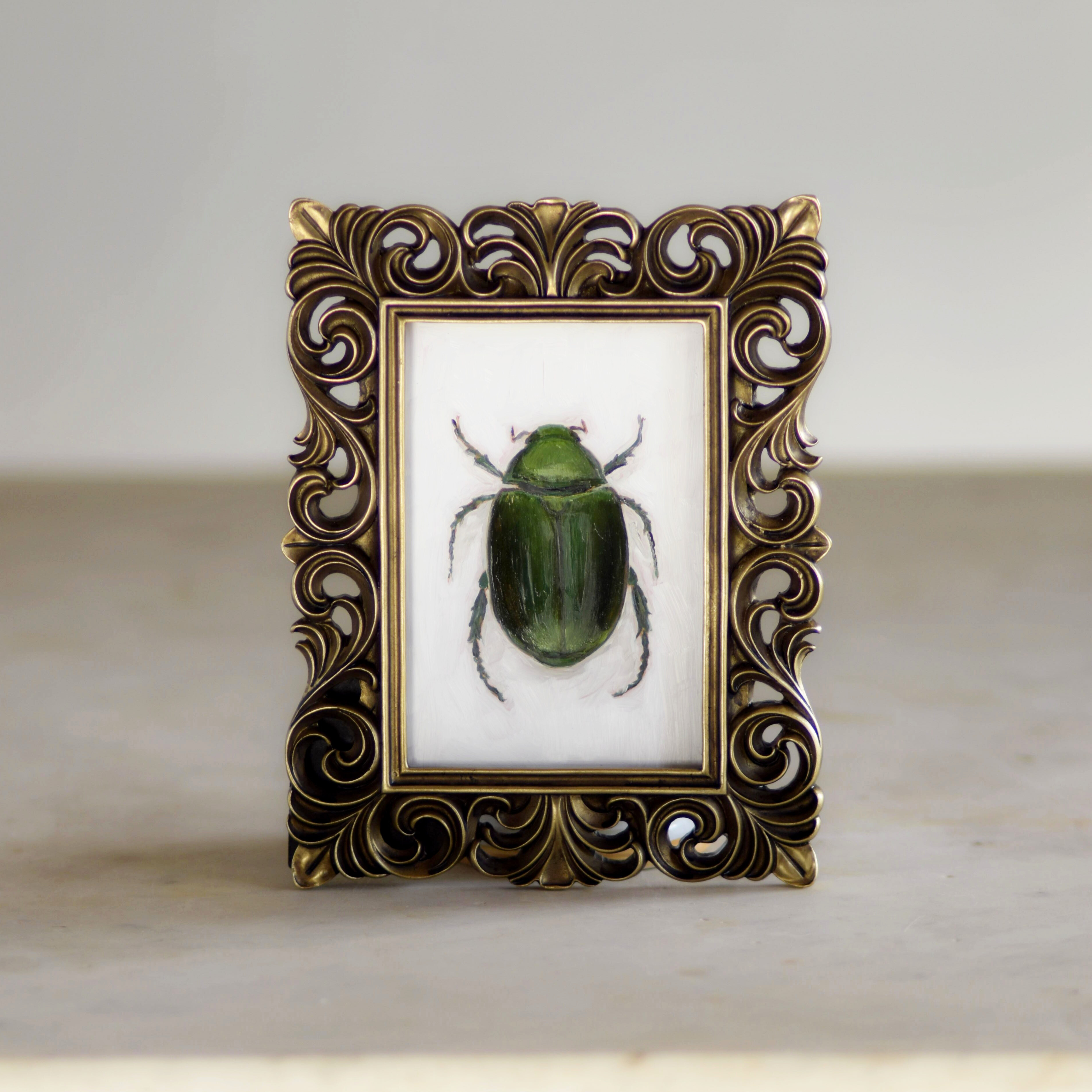 No. 3045 Anomala Albopilosa Oil Painting