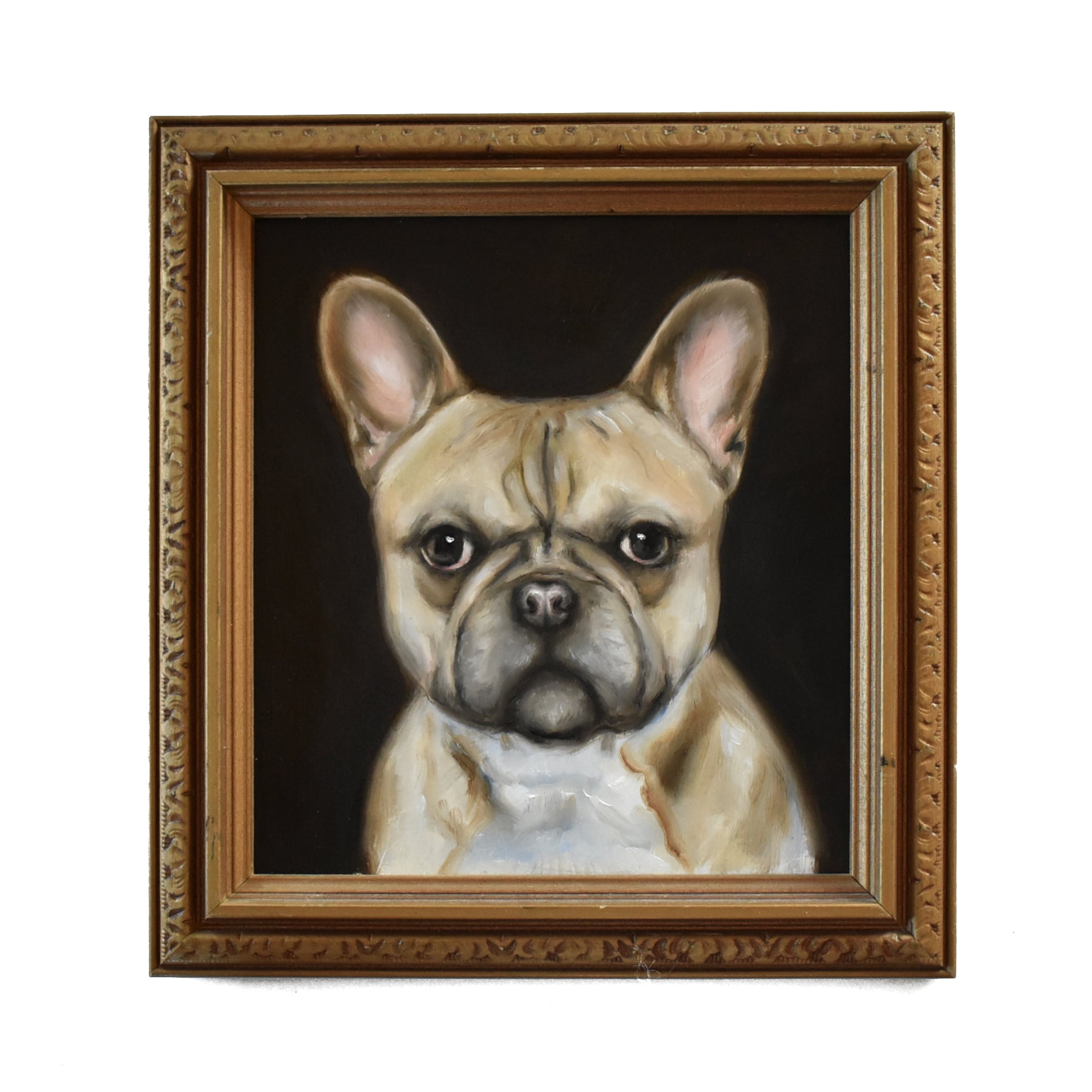 No. 2553 Custom Pet Portrait