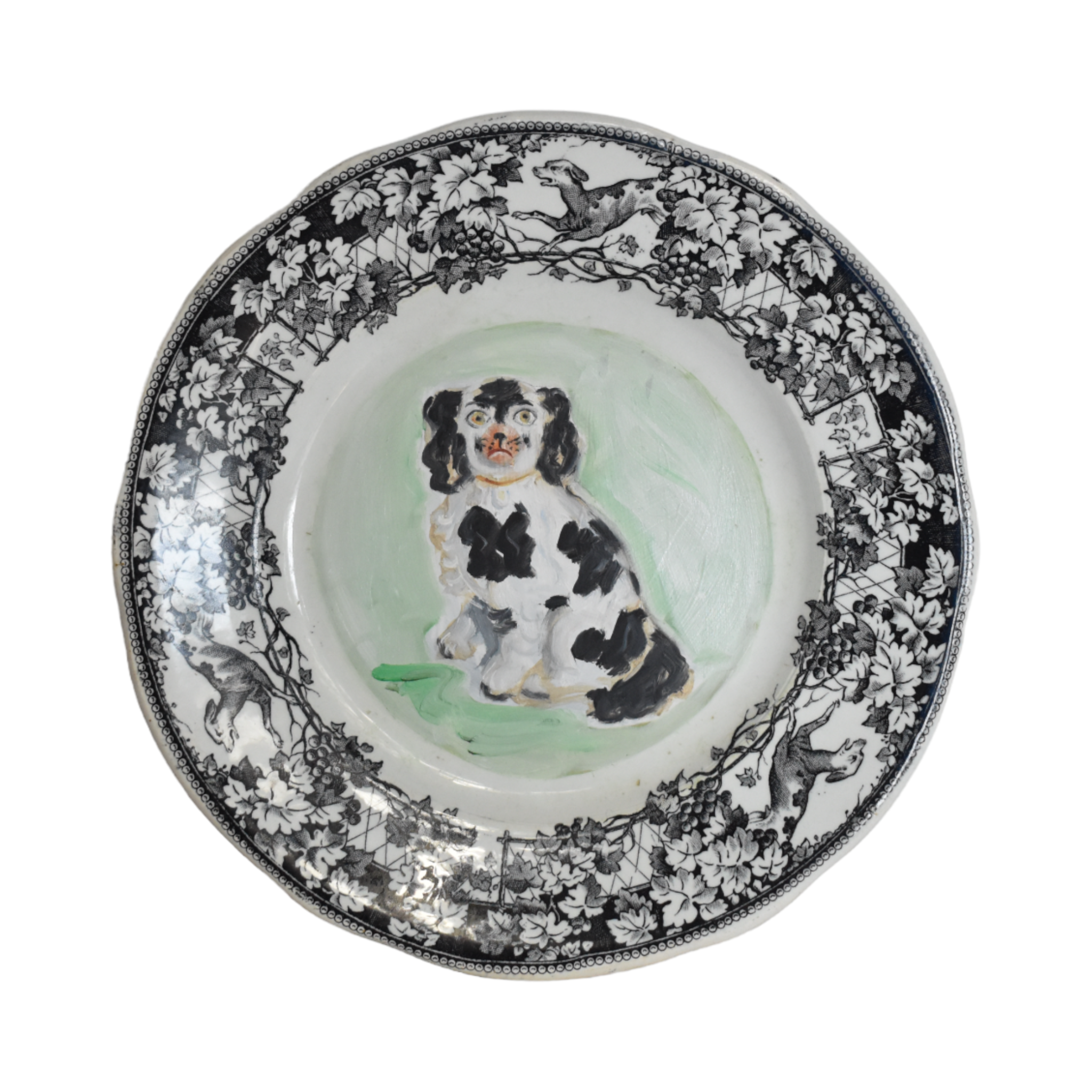 Chester the Black & White Staffordshire Spaniel Portrait