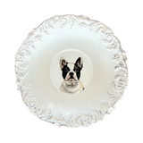 Portrait of Fred the French Bulldog on a White Plate