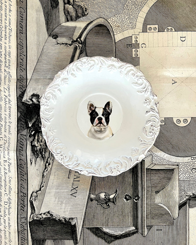 Portrait of Fred the French Bulldog on a White Plate