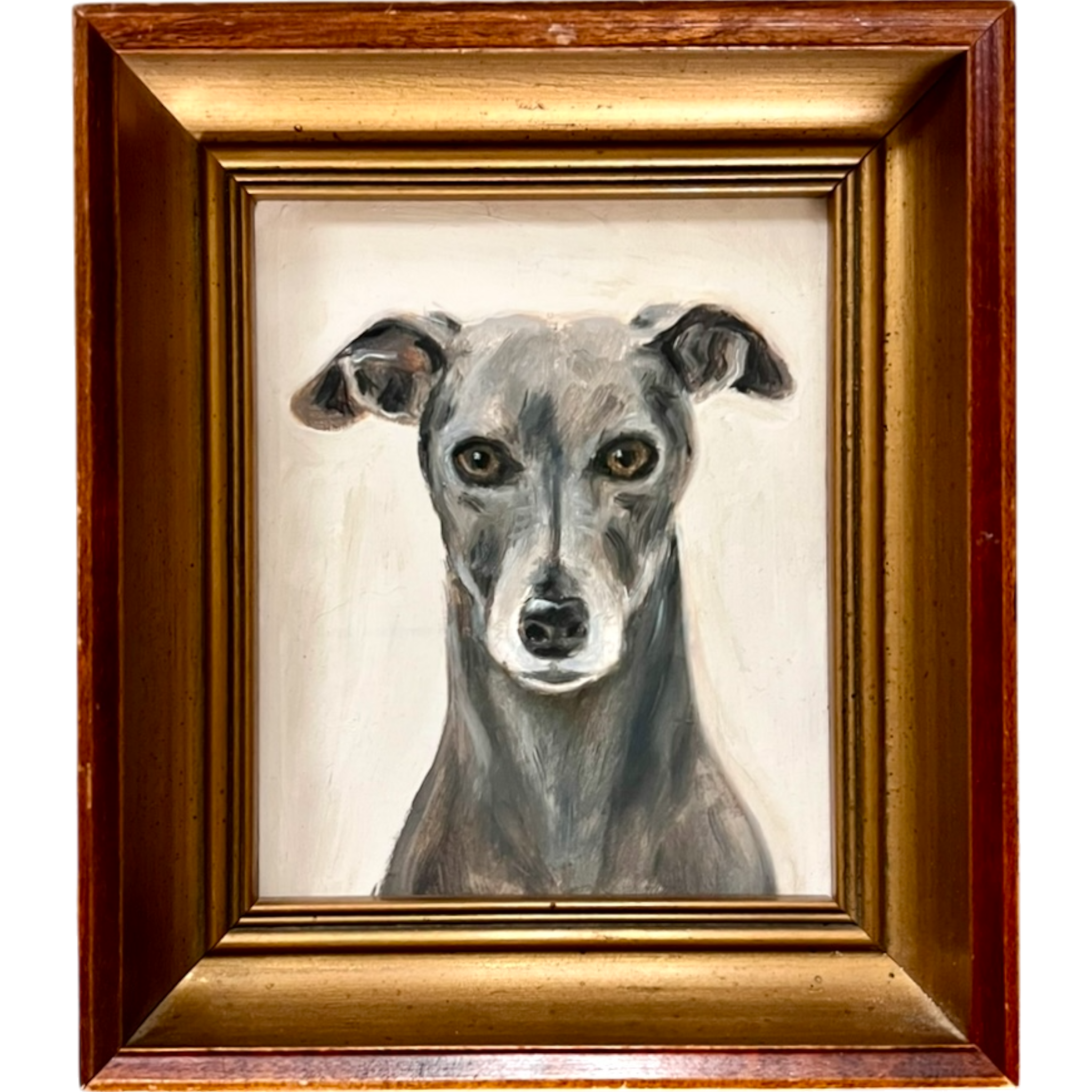 No. 0868 Portrait of a Grey Whippet