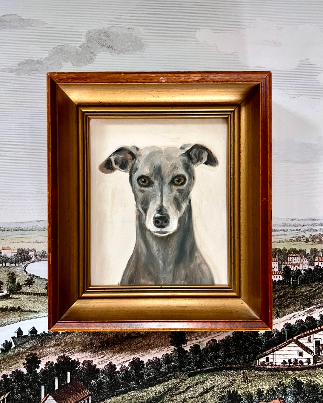 No. 0868 Portrait of a Grey Whippet