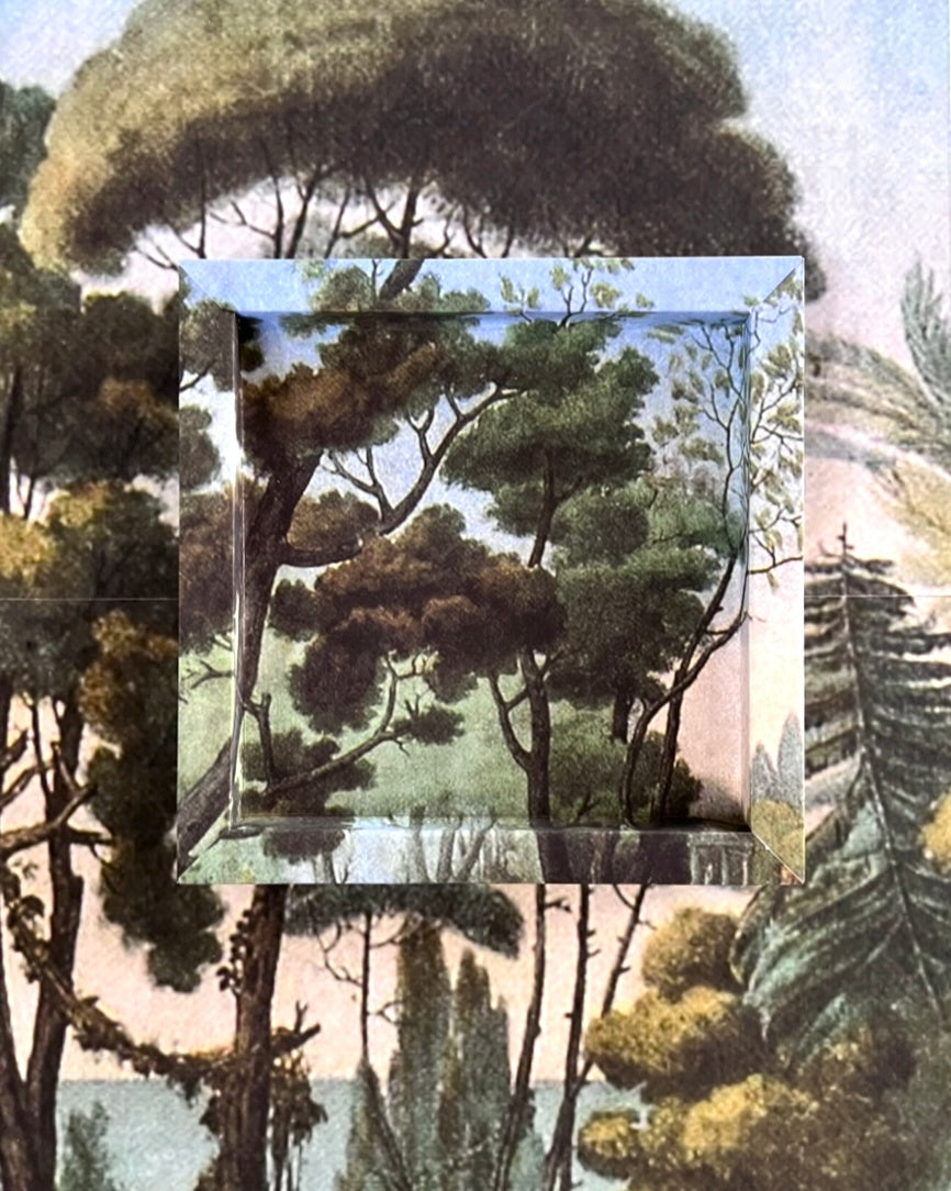 Frame No. 25 - Woodland Landscape (8" for plates 4.25"-6")