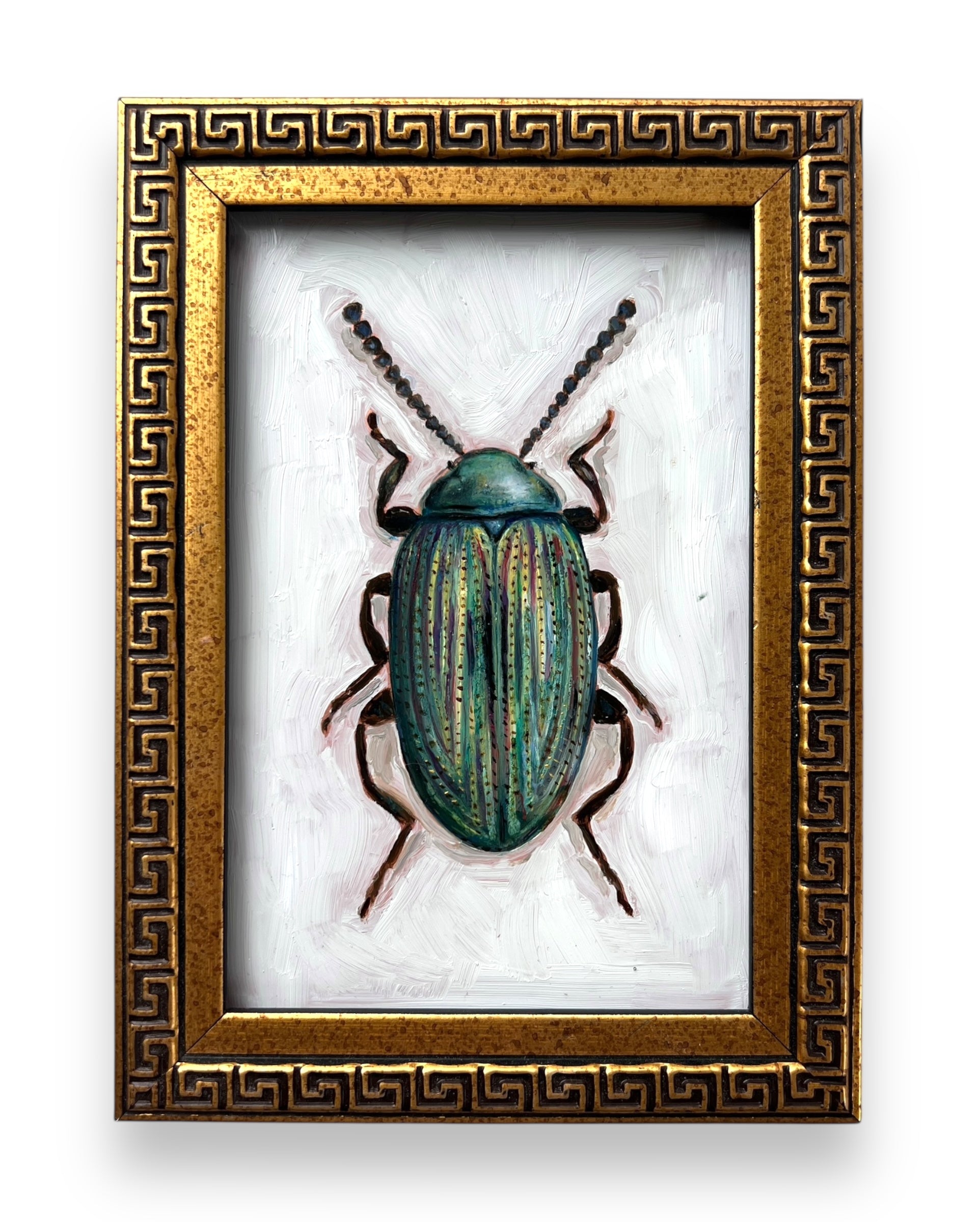 No. 3044 Crepidodera Lamina Oil Painting