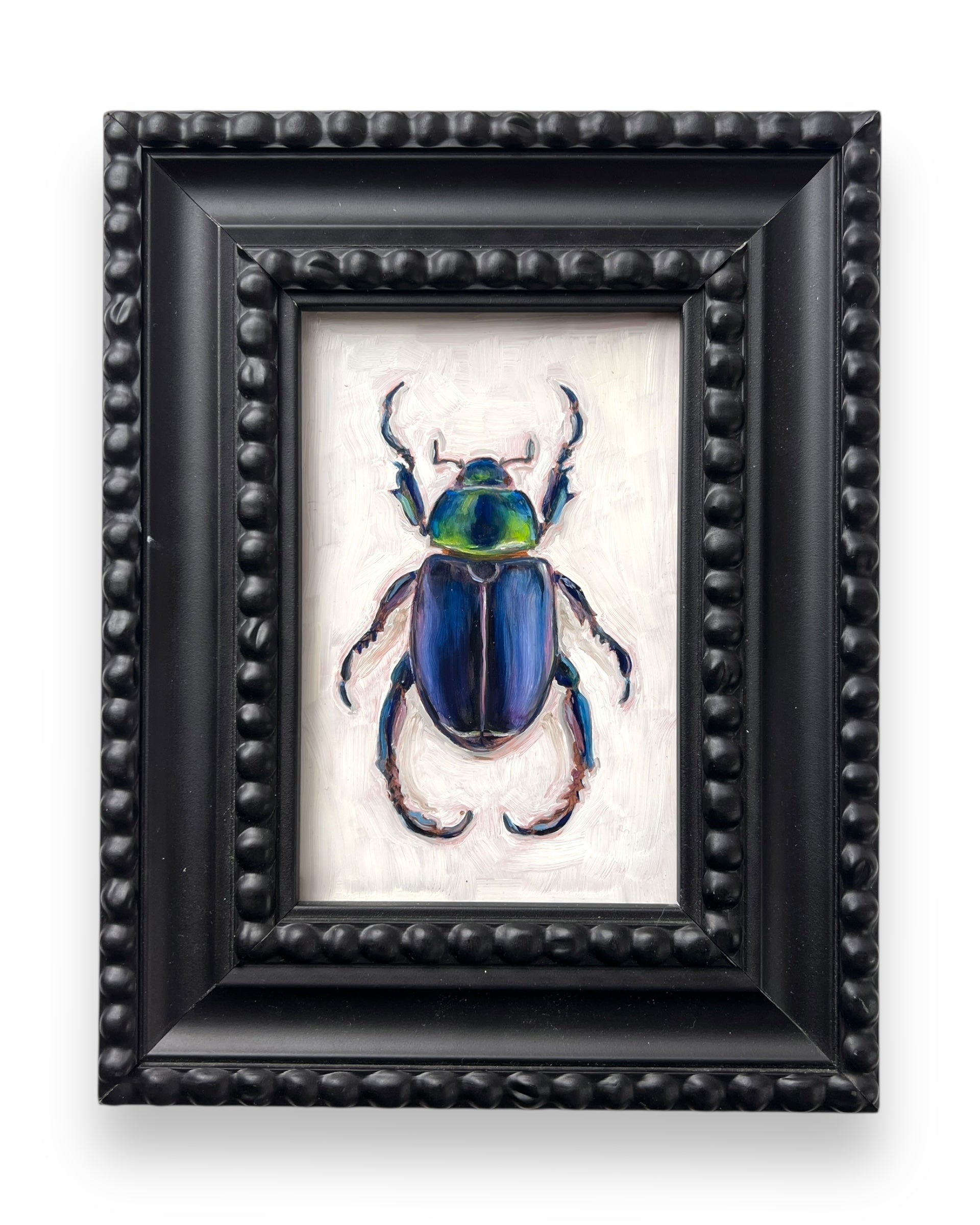 No. 3046 Pelidnota Burmeisteri Oil Painting