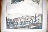 Framed Lemon Print After Johann Christoph Volkamer's "Nürnbergische Hesperides"