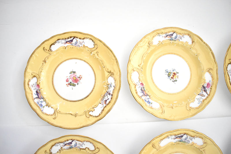 Set of 9 Hand-Painted Sevres-Style Porcelain Small Plates With Flowers & Birds