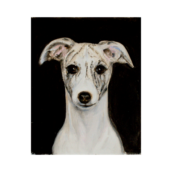 Brindle Whippet - 5x6 Archival Print