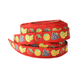 6 Yards 2 Feet - Vintage Red, Yellow, and Green Fruit Brocade Ribbon