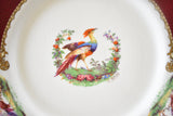 Antique English Staffordshire Red "Chelsea Bird" Dinner Plates