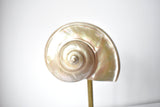 Antique Mother of Pearl Shell Table Lamp