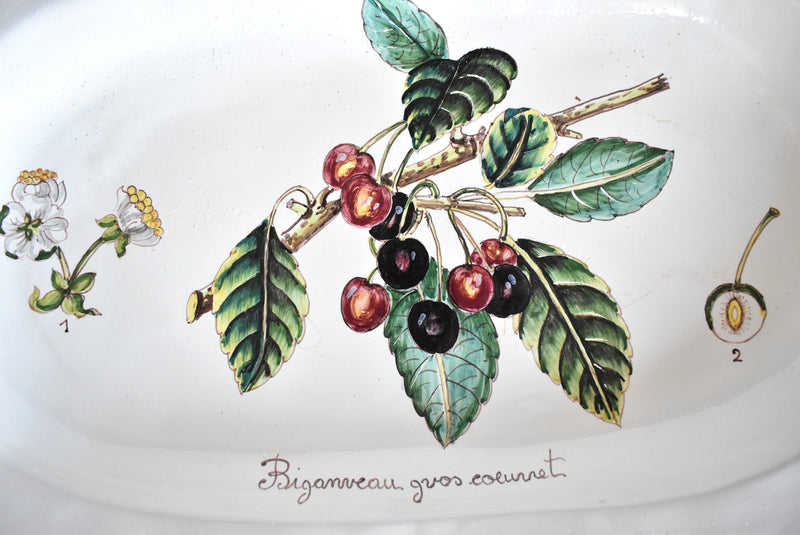 Large Italian Botanical Ceramic Platter